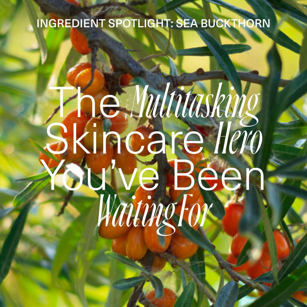 Sea Buckthorn Skincare Benefits explained